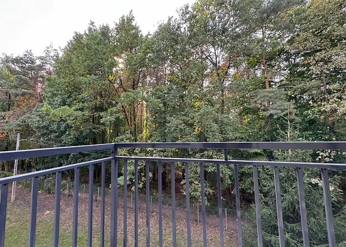 Apartament - Mieszkanie Przy Centrum Zdrowia Dziecka - Międzylesie - Dzięcieliny 15 Warszawa